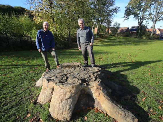 Peter Kennett and Duncan Hawley with the cast of the fossilised tree stump